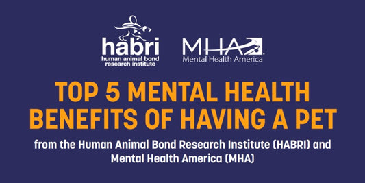 Top 5 Mental Health Benefits Of Pets