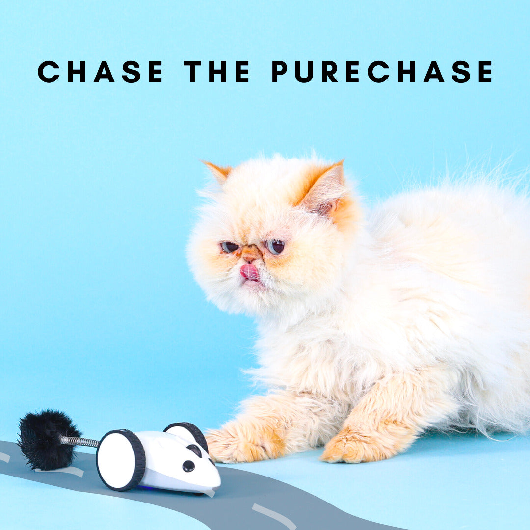 INSTACHEW Purechase Smart Mouse Toy, App Enabled Toy, Chasing Toy, Toy for Cats, Fun Toy, Dog Toy, Remote Control Toy for Pets, Mouse Toy