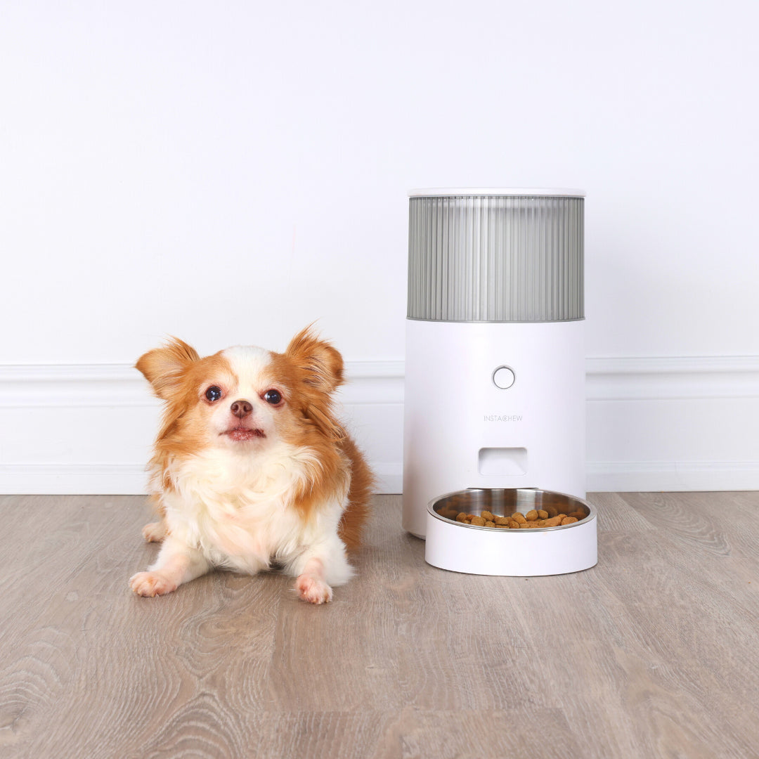INSTACHEW Purechew Mini Smart Automatic Pet Feeder, App Enabled, Food Bin for Pets, Automates Feeding, Holds Fresh Food, Schedules Feeding times, Automatic Feeding, Scheduled Meals, Portion Controller, Food Bowl for Cats, Food Bowl for Dogs-2
