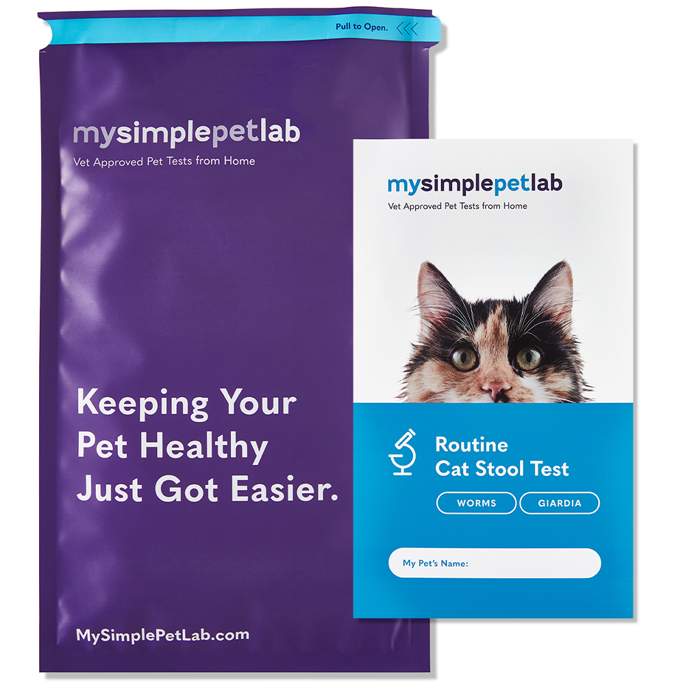 Routine Cat Stool Test - Worms and Giardia